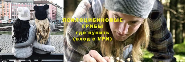 прущие крисы Армянск