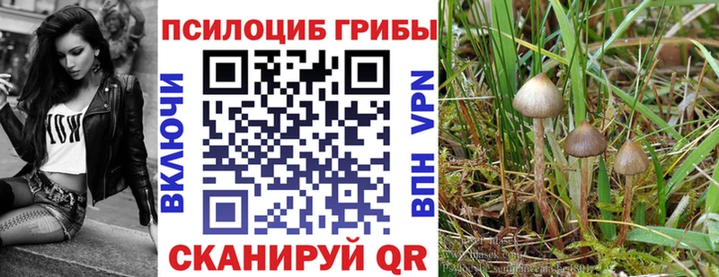 KRAKEN Заволжск Псилоцибиновые грибы ЛСД